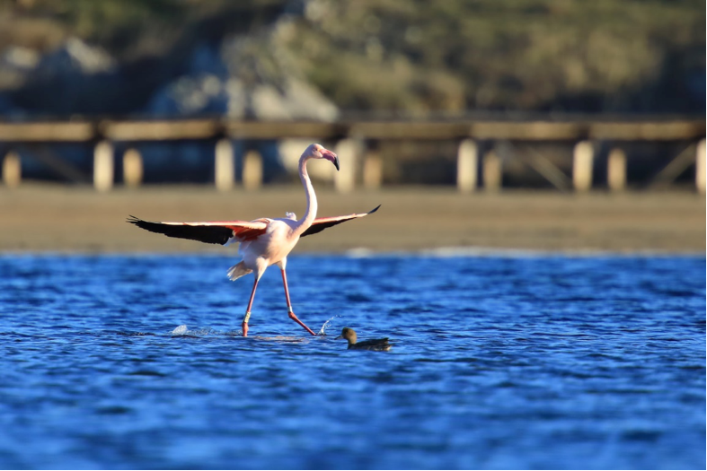 Inherit Interreg Mediterranean tweet media