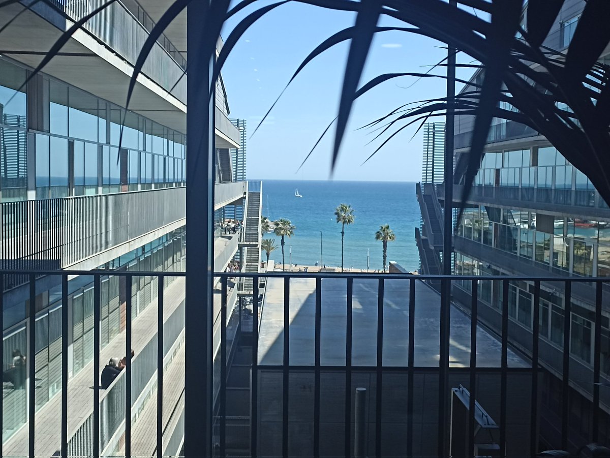 maruxamartinez's tweet photo. Some of the perks of working at @the_prbb (follow thread):
1) amazing sea views https://t.co/Pxvfkv3ROi