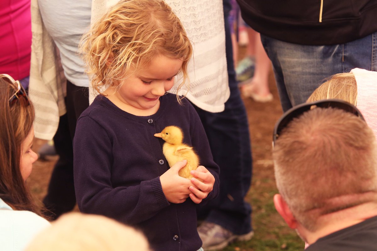 Purdue Agriculture tweet media