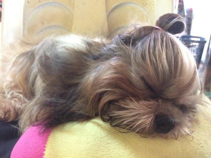 lynxjonas's tweet photo. Miss you love! 😭😭😭 https://t.co/YjRtHurRiJ