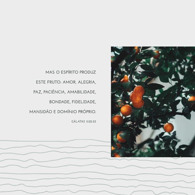O CRISTÃO VERDADEIRO É  CONHECIDO PELOS FRUTOS QUE PRODUZ E NÃO PELOS DONS.  bible.com/bible/211/gal.…