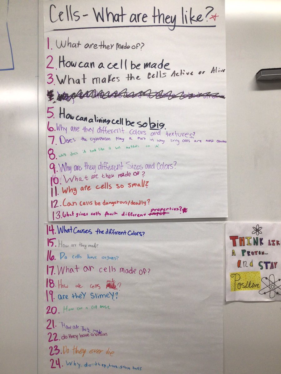 MrsCastillo_1's tweet photo. ๐ at these questions! What do you wonder about cells?
Our first attempt at the #QFT method by @RightQuestion introduced to me by @mcnairan3. Canโt wait to see this progress!
#studentdrivenlearning
#inquirybasedlearning
#curiosity
#essentialquestions
#drivingquestions https://t.co/qVE5mzZDYq