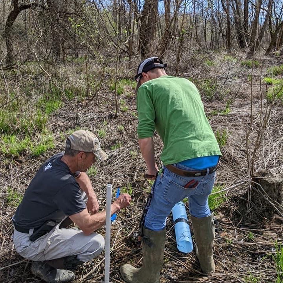 Mr. Don Reeses forestry class in Halifax County High School helped us plant some Willow Oaks today.
