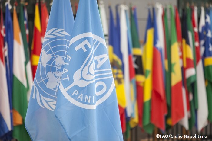 FAO4Members tweet picture