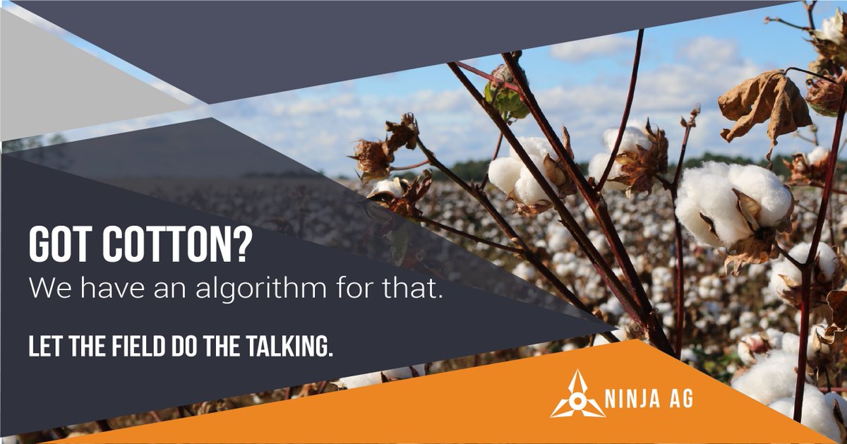 Ninja Ag tweet media