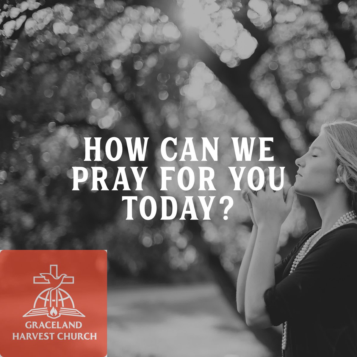 pastmambo's tweet photo. God answers prayers. Our prayer warriors are on standing ready to pray with you. Submit your prayer request below.
https://t.co/bYAU0FVPck https://t.co/r24sDmLEAj