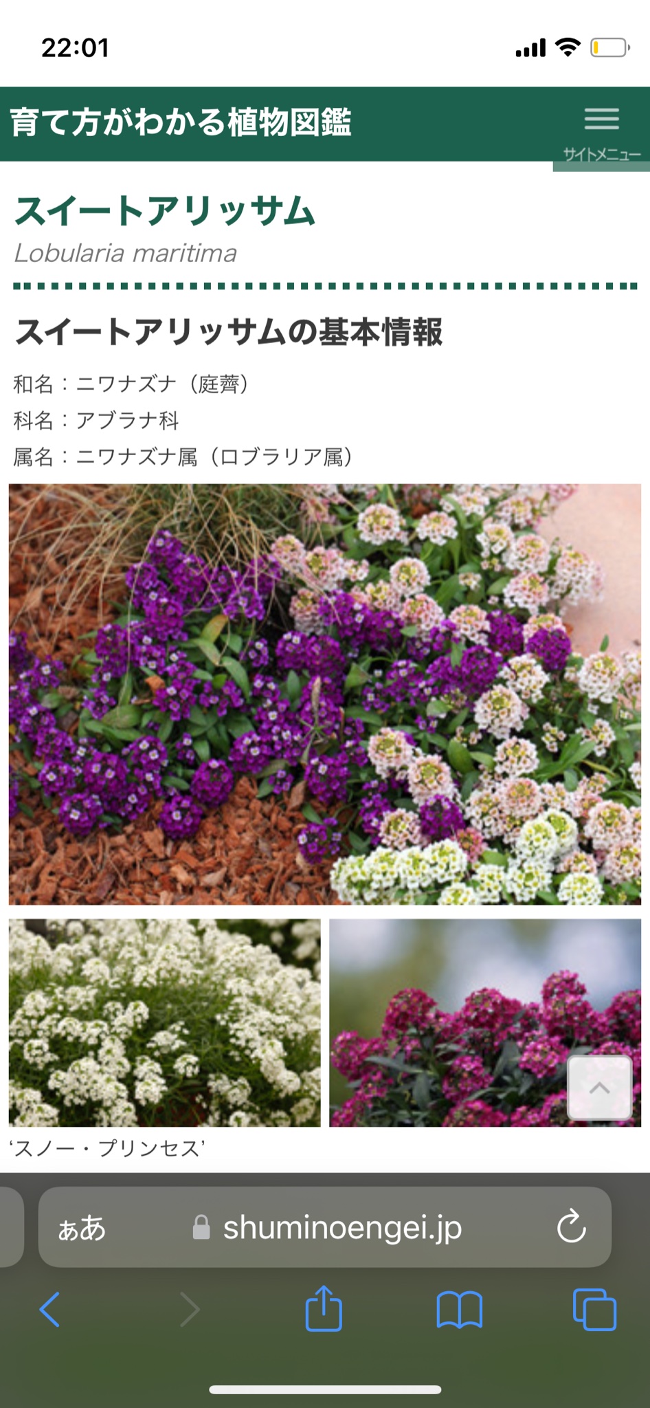 あみローズ ベランダローズガーデン J0bchange Twitter