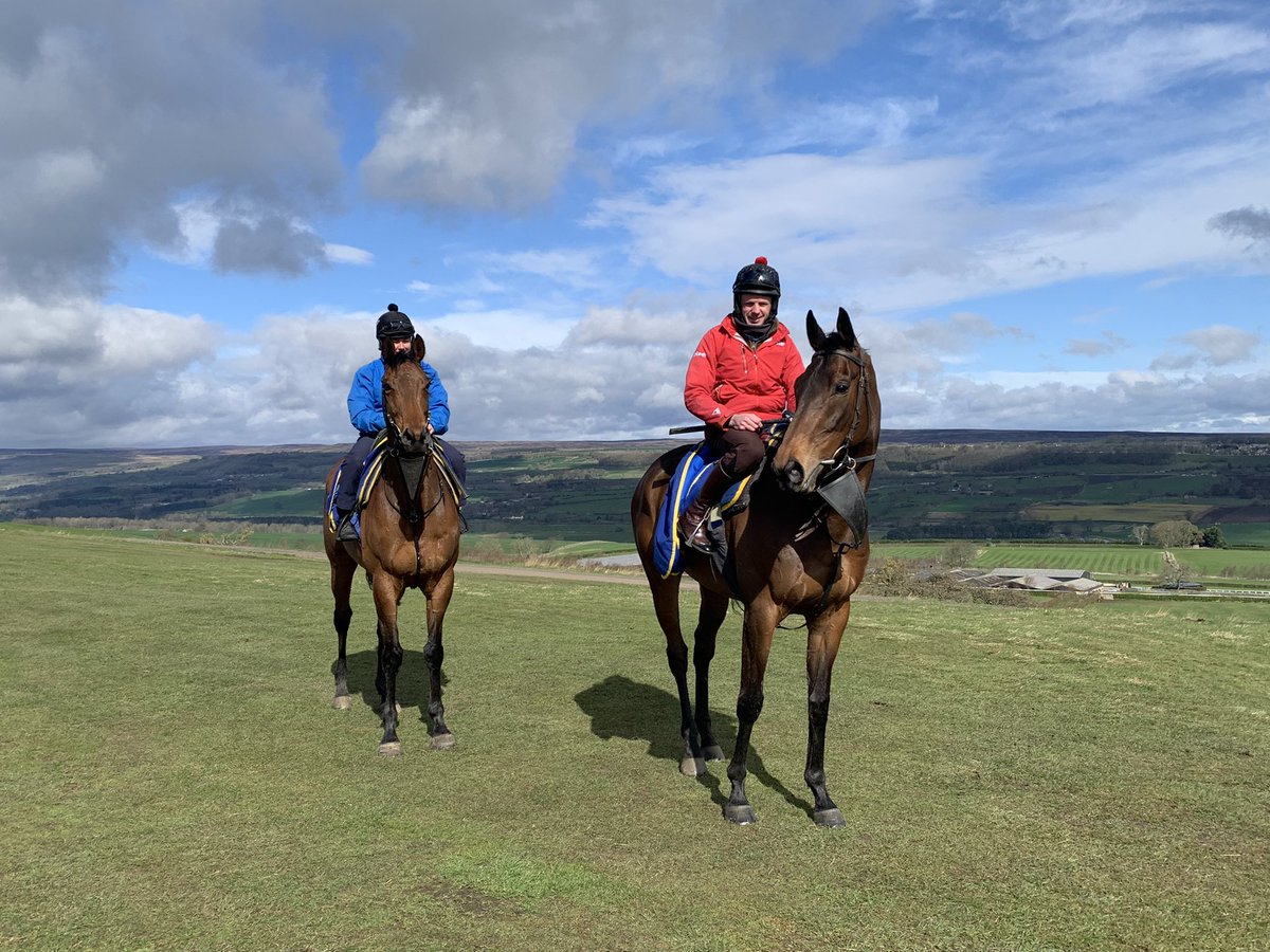 Beautiful morning in Middleham #Racing #Godsowncounty