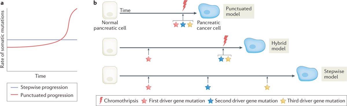 Did you say pancreatic #CancerEvolution #AACR2022? Wait a sec, <a href="/NatureRevCancer/">Nature Reviews Cancer</a> has a review on this: #PancreaticCancer evolution and heterogeneity: integrating omics and clinical data by AA Connor &amp; S Gallinger

go.nature.com/3x41xtU

@natrescancer <a href="/pmcancercentre/">Princess Margaret Cancer Centre</a>
 <a href="/OICR_news/">Ontario Institute for Cancer Research (OICR)</a>