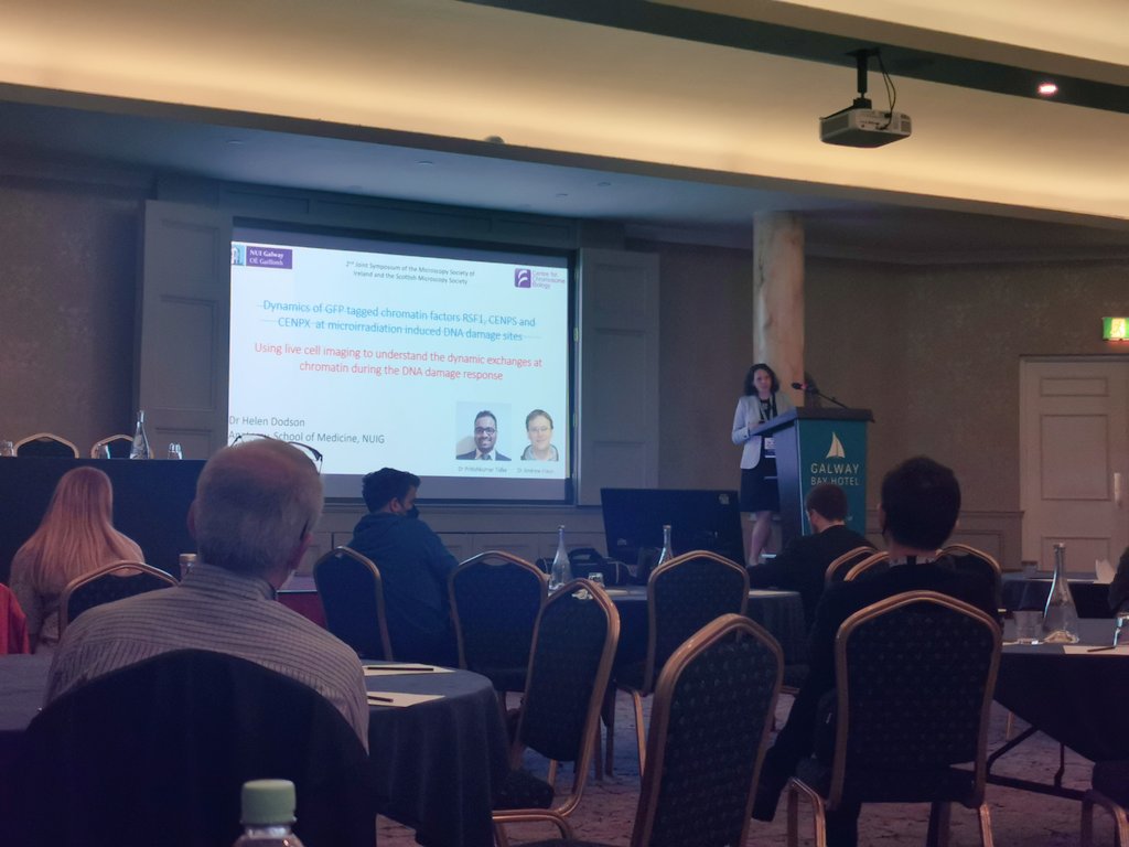 Amazing talk by <a href="/helen_dodson/">Helen Dodson</a> on the using live cell imaging to understand the dynamic exchanges at chromatin during the DNA damage response at #MSI2022SMS  👩‍🔬🔬