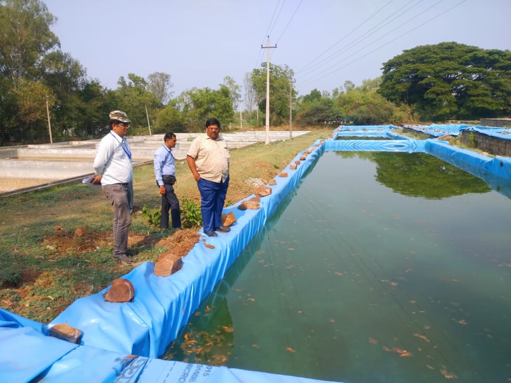 ddf_belagavi's tweet photo. Sri Thippeswamy D , Additional Director of Fisheries inland, visited Hidkal Fish seed farm and inspected the ponds repaired using geo membrane sheet. https://t.co/TUrP0bqkXF