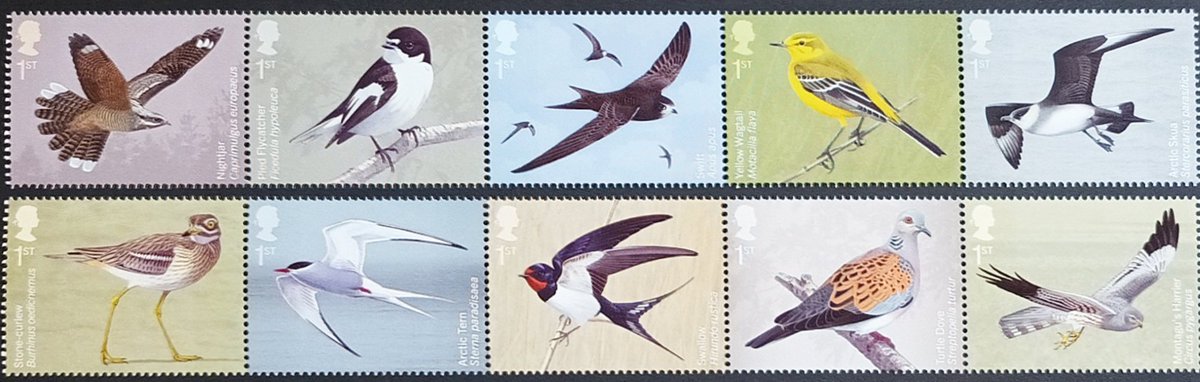 GB April 2022 - Migratory Birds.

These are beautifully realised stamps. Absolute stunners.