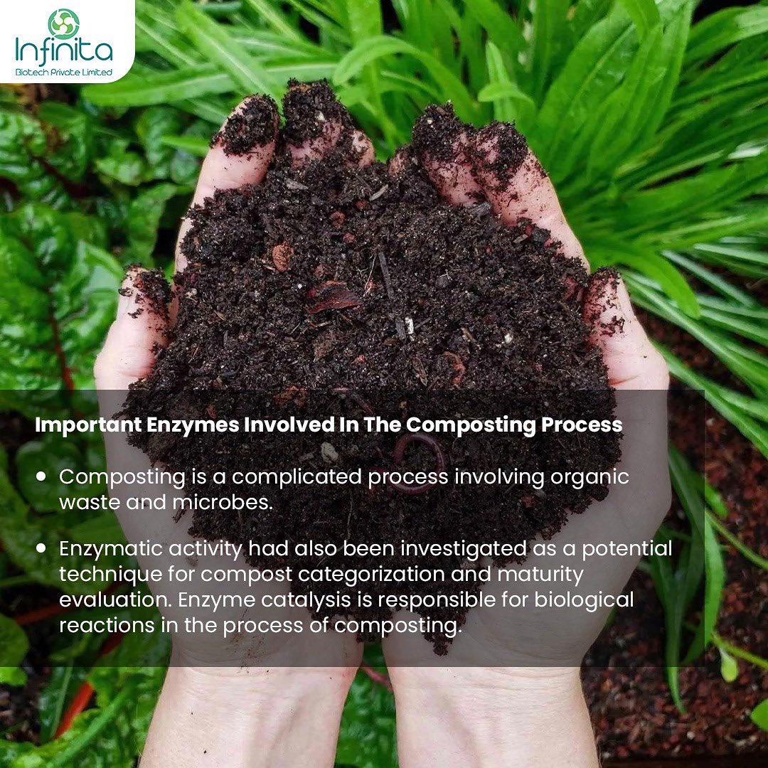 infinitabiotech's tweet photo. Composting is a complicated process involving organic waste and microbes. This procedure can be carried out by three types of microorganisms: bacteria, fungus, and actinomycetes depending upon the method of composting. https://t.co/3YbORy8s2P https://t.co/rU9cY9LobJ