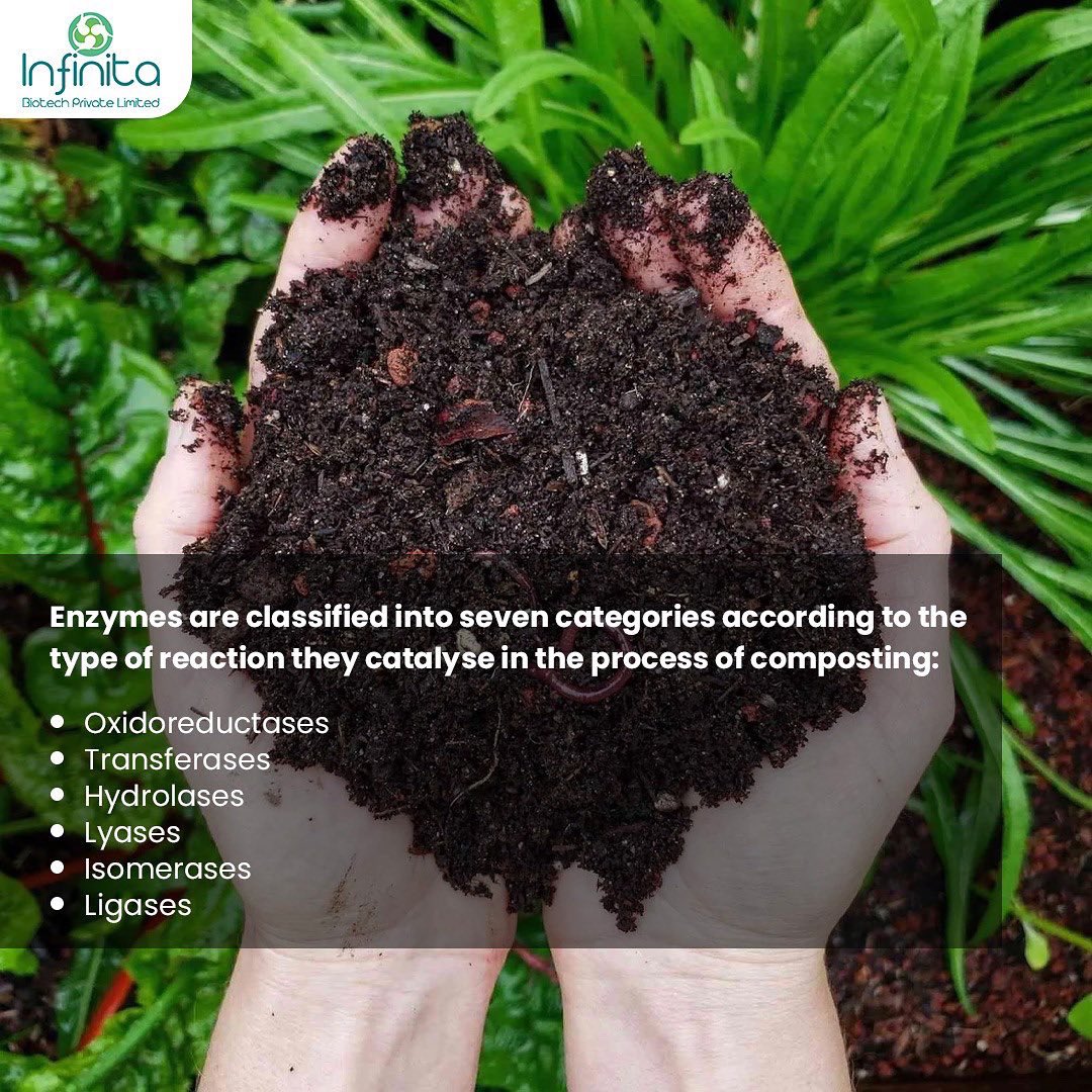 infinitabiotech's tweet photo. Composting is a complicated process involving organic waste and microbes. This procedure can be carried out by three types of microorganisms: bacteria, fungus, and actinomycetes depending upon the method of composting. https://t.co/3YbORy8s2P https://t.co/rU9cY9LobJ