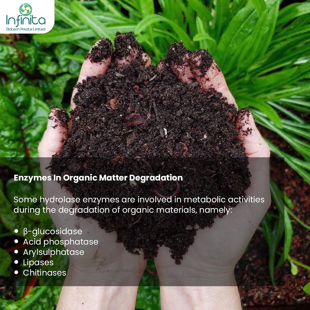 infinitabiotech's tweet photo. Composting is a complicated process involving organic waste and microbes. This procedure can be carried out by three types of microorganisms: bacteria, fungus, and actinomycetes depending upon the method of composting. https://t.co/3YbORy8s2P https://t.co/rU9cY9LobJ