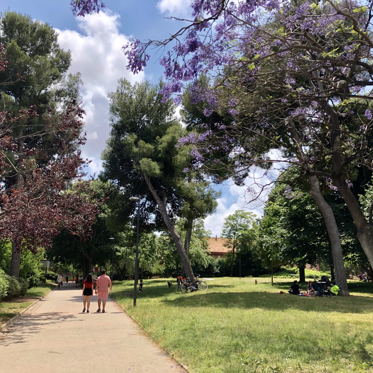 Avui, Dia mundial de la Salut, celebrem els beneficis essencials i insubstituïbles que ens aporta la natura per a la nostra salut i benestar integrals: física, psicològica i fins i tot espiritual.🌿
#DiaMundialSalut #salutinatura #naturaésvida #sensenaturanohihavida