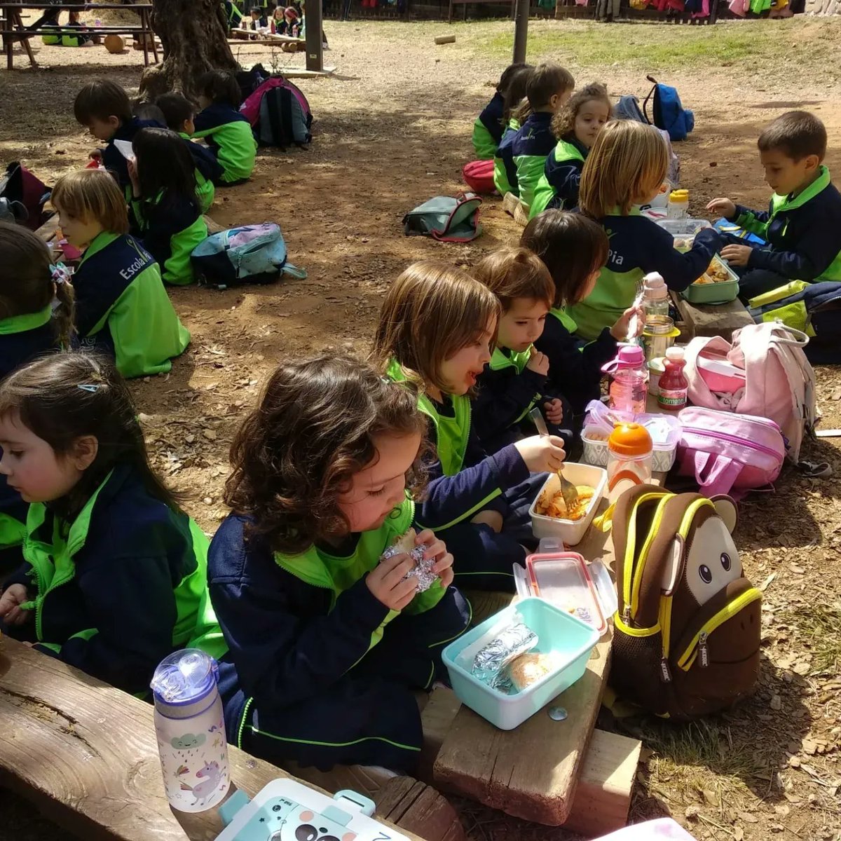 epiasabadell's tweet photo. i després hem buscat i decorat ous de Pàsqua! Ha estat un dia ple d'emocions!
#P3PIASABADELL
#INFANTILPIASABADELL https://t.co/pxMvLI0Z6L