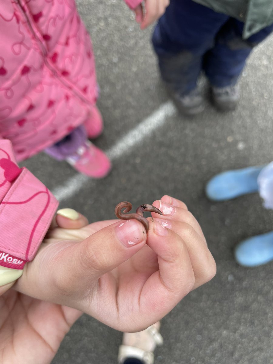 talesofkinder's tweet photo. Today is about the worms 🐛 🌧! We love when it rains! So much exploration happens outside!! #dsbn #fitchstreet https://t.co/s6UO0lxVP0