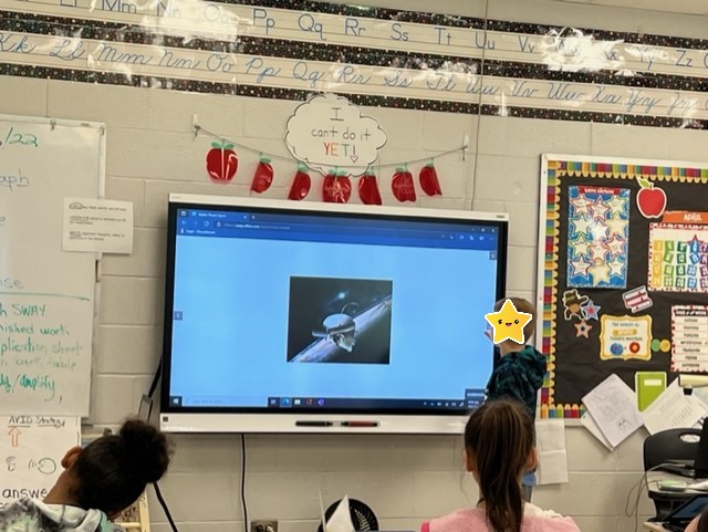 Denise Collins tweet media