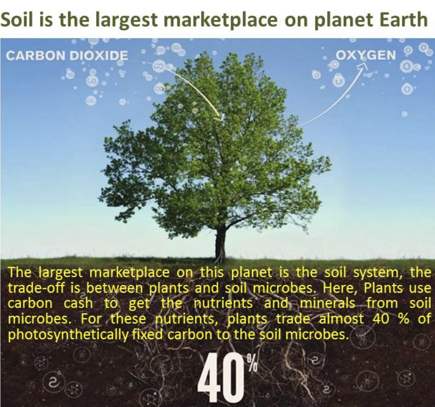Kannannotts's tweet photo. #savesoil@cpsavesoil https://t.co/UiRIheB1PU