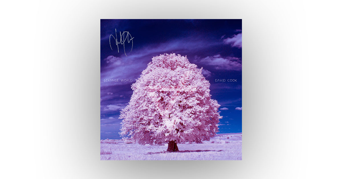 FoolsApril64's tweet photo. π Today's David Cook Team for a Cure #TeamDC Sweepstakes prize spotlight is #PRINT1 Donate $5 or+ for chance(s) toπWIN! a print of the Strange World single cover art, signed by @thedavidcook! π Enter at: https://t.co/hY3zpHOzCP (image illustrative - not actual prize) https://t.co/YDRTPt4EV1