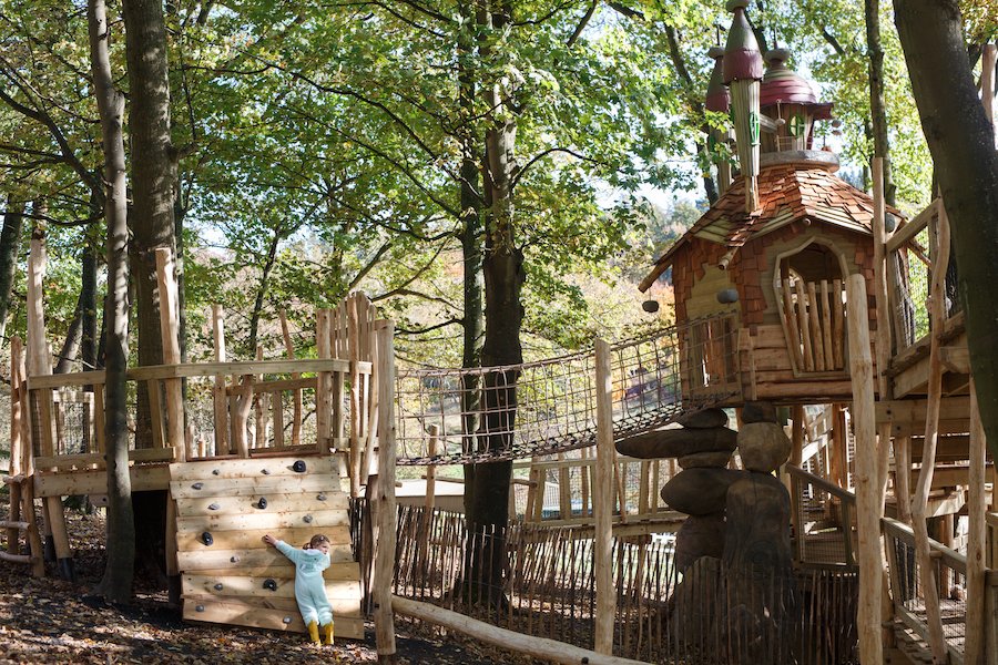 blooloop tweet media