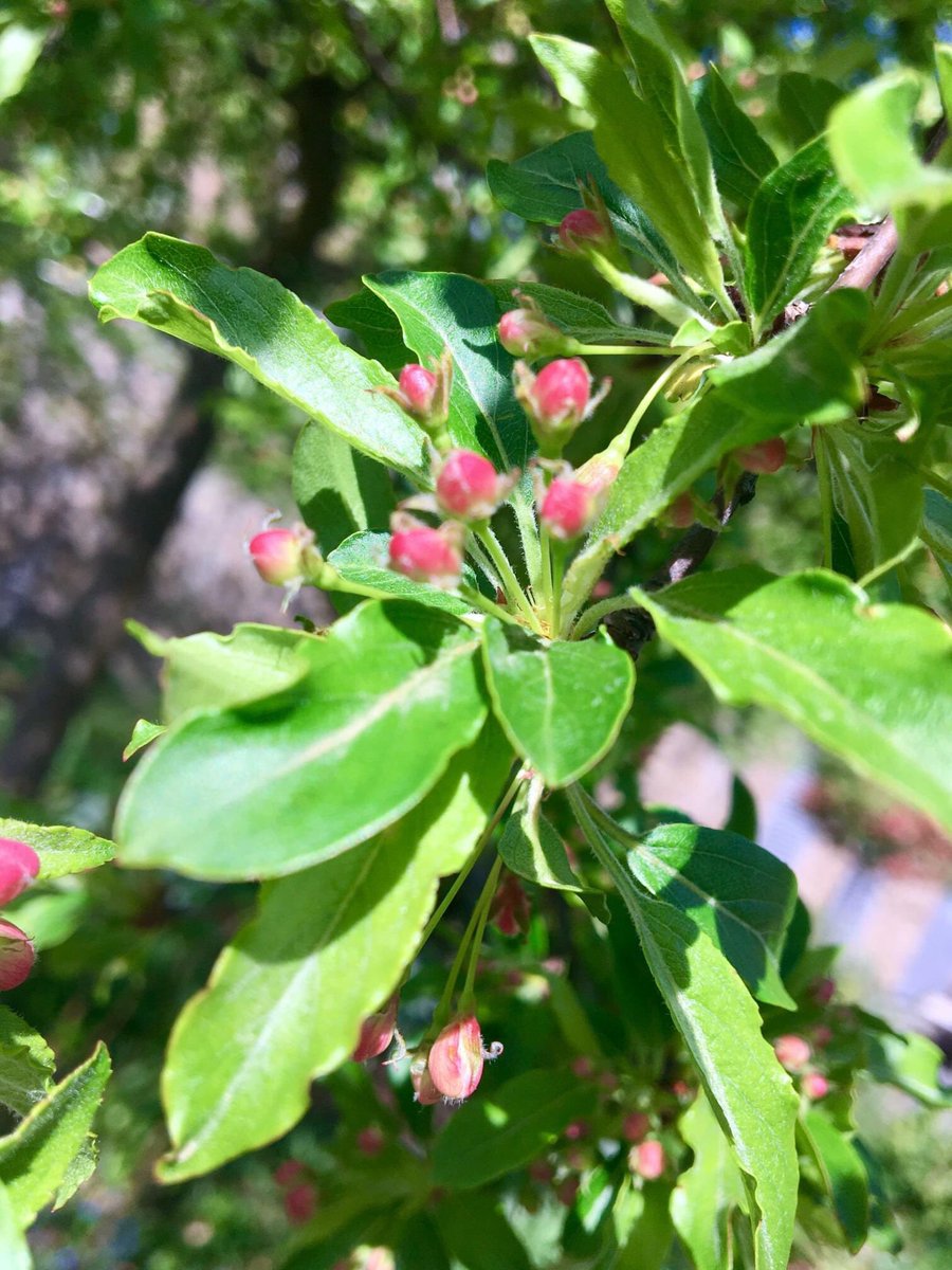 Ferhat U tweet media