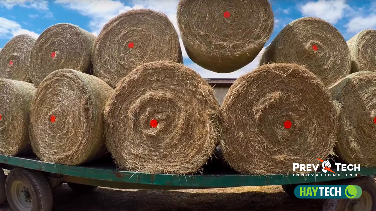 PrevTech_Innov's tweet photo. HAYTECH has your hay covered this year - this wireless monitoring system for bales can prevent #FarmFires and improve hay quality.  Learn more here: https://t.co/Hv1O4QkATs #PrevTechCares https://t.co/eAnqW62iNx