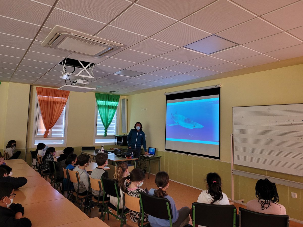 escuelasnuevas's tweet photo. Visitas imprescindibles para reflexionar con el alumnado. Nuestro entorno nos necesita. ¿Qué puedes hacer tú? Ambientólogos, expertos en economía circular, gestión de residuos, fotografía submarina,pintura colaborativa... https://t.co/M3KglSp5tT