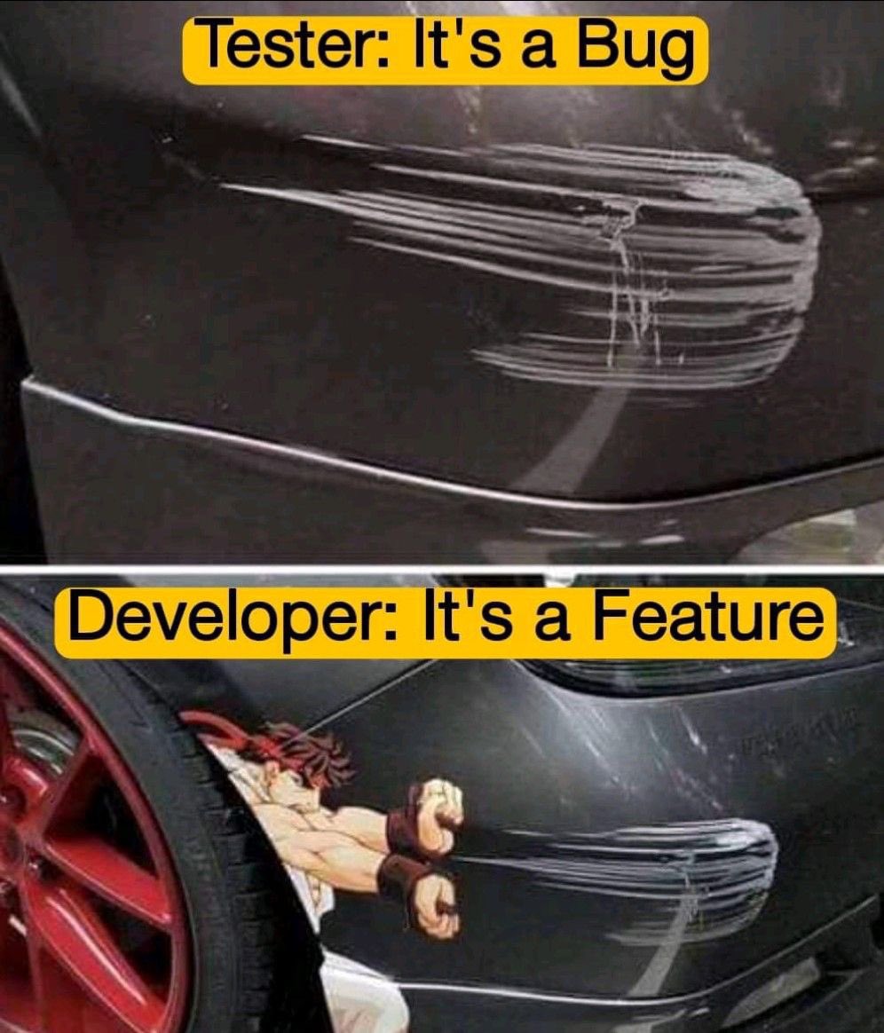 Bug kabul etmeme bir sanattır.