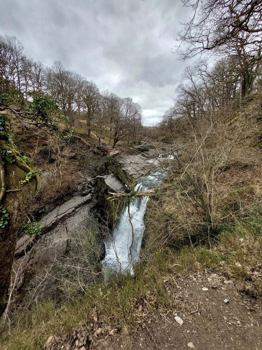 lady_killller's tweet photo. A dreamy week in South Wales as always, I cannot wait to move here soon https://t.co/RbkZCFZizi