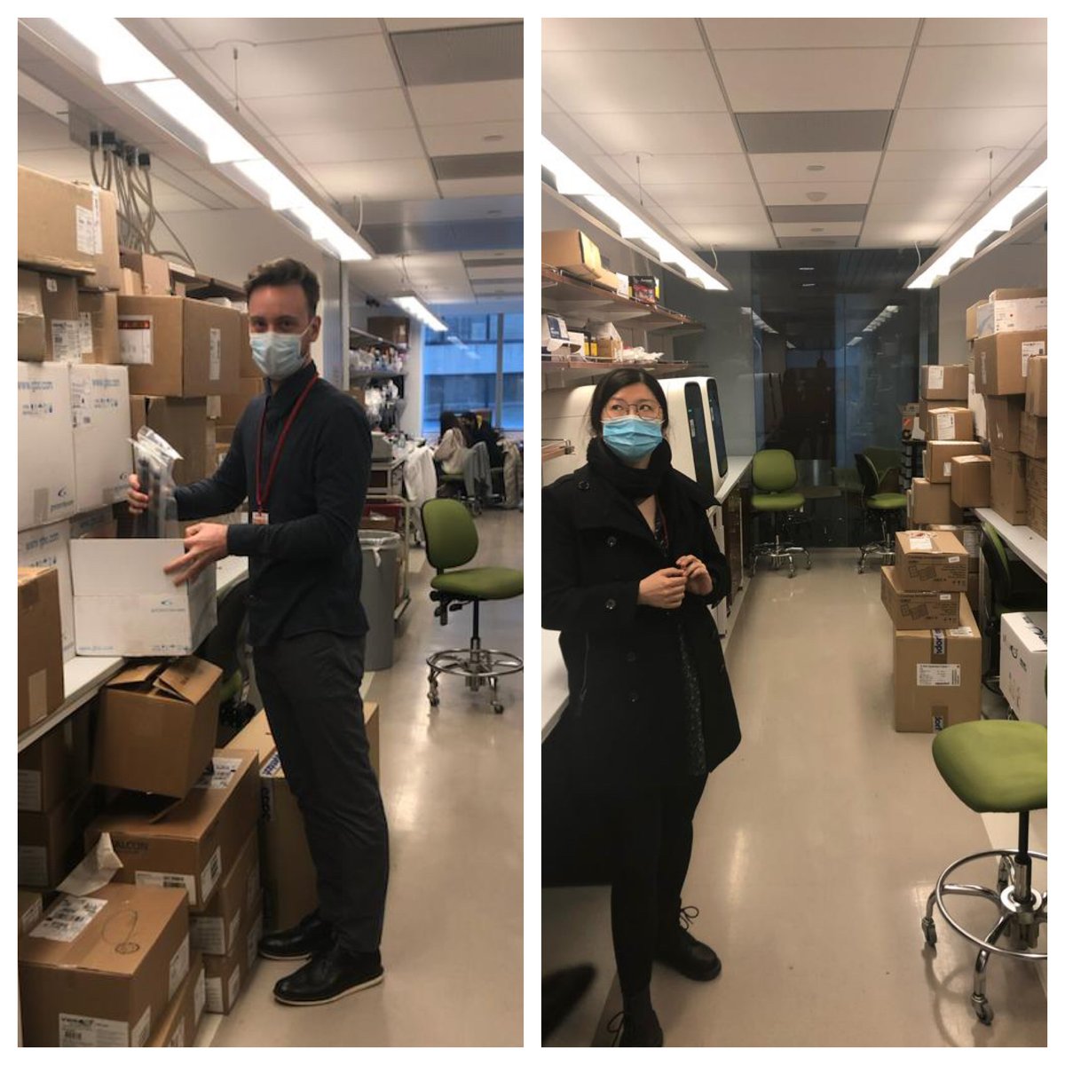 BelkaidLab's tweet image. The Collins lab is officially open! Join them to work on how nutrition impacts our immune system-- such an exciting area! @Nick_Collins11 @SeongJiHan @WeillCornell