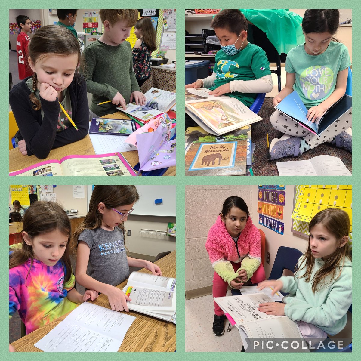 MrsPatyksclass's tweet photo. Researching our extinct animals in underway @KenstonTES #kenstoninspired https://t.co/uMjFQyIoxk