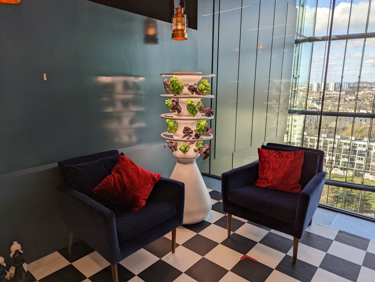 Microsoft SwiftKey tweet media