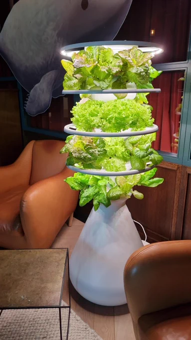 Vertical hydroponic farm from Square Mile Farms in the Microsoft UK office