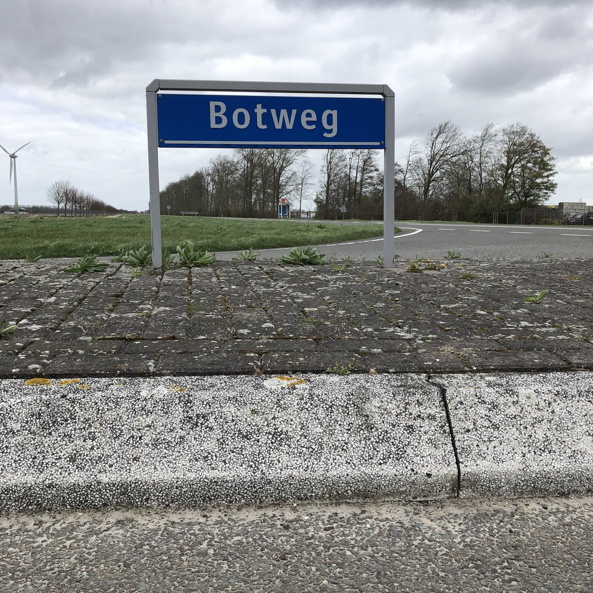 RianVisser's tweet photo. Zonder titel #botweg https://t.co/WxPK8Ql5Dk
