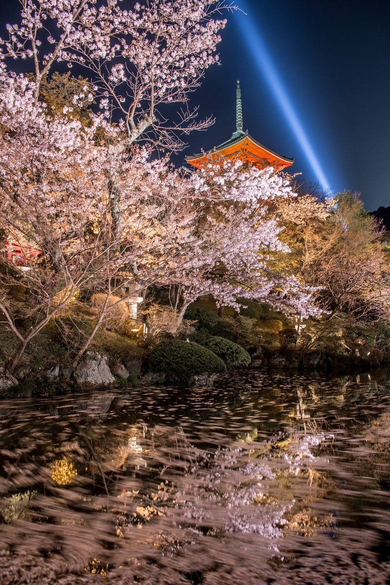 Ryogo_Urata's tweet photo. 春の夜、清水寺の花筏が美しかった。 https://t.co/Zm8fCUsOeB