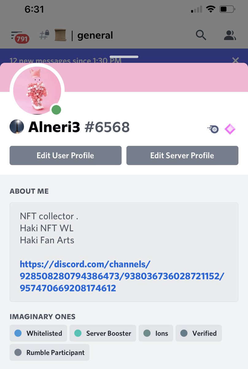 AlNeri3's tweet photo. First thing I woke up to is a notification of someone telling me Congratulations on Discord . I open it to find out I have been Whitelisted for @Imaginary_Ones after so many attempts  man .😭 Am a bit numb right now . Thanks to this incredible team.
#ionsfollowions
#IONS https://t.co/numzeg5uci