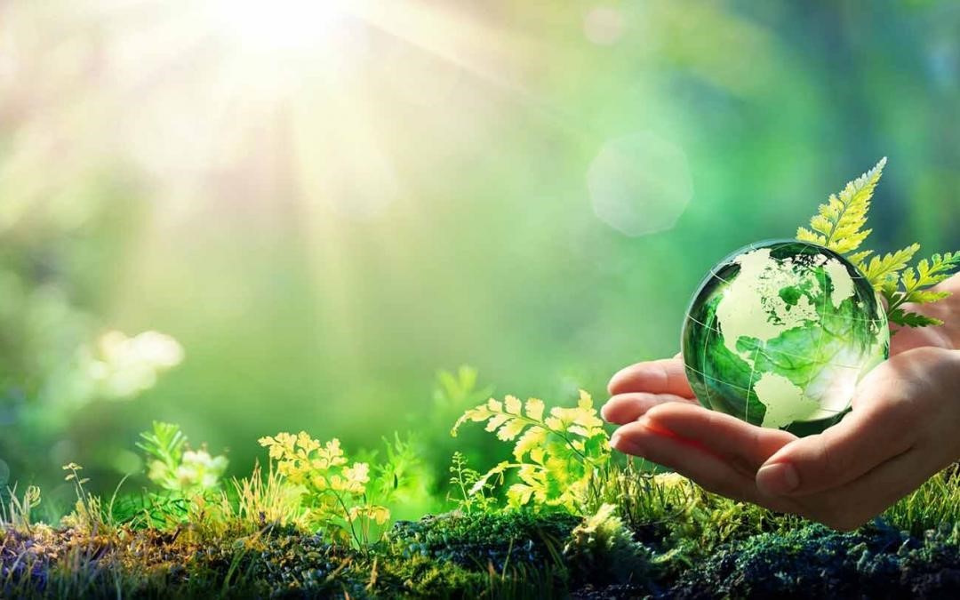 WasteCornwall's tweet photo. How is commercial waste handled?  Depending on the type of waste, the waste will be treated in a different way. The waste could be recycled, reused, incinerated to be made into energy, incinerated to dispose of it or buried at landfill.  #waste #wastedisposal #wastemanagement https://t.co/y5j1iViT6O