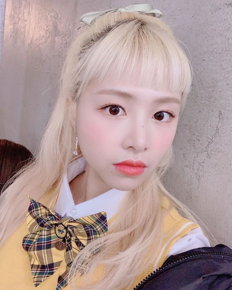 비상비상!!! 챈사가 트잇떠에 떴다