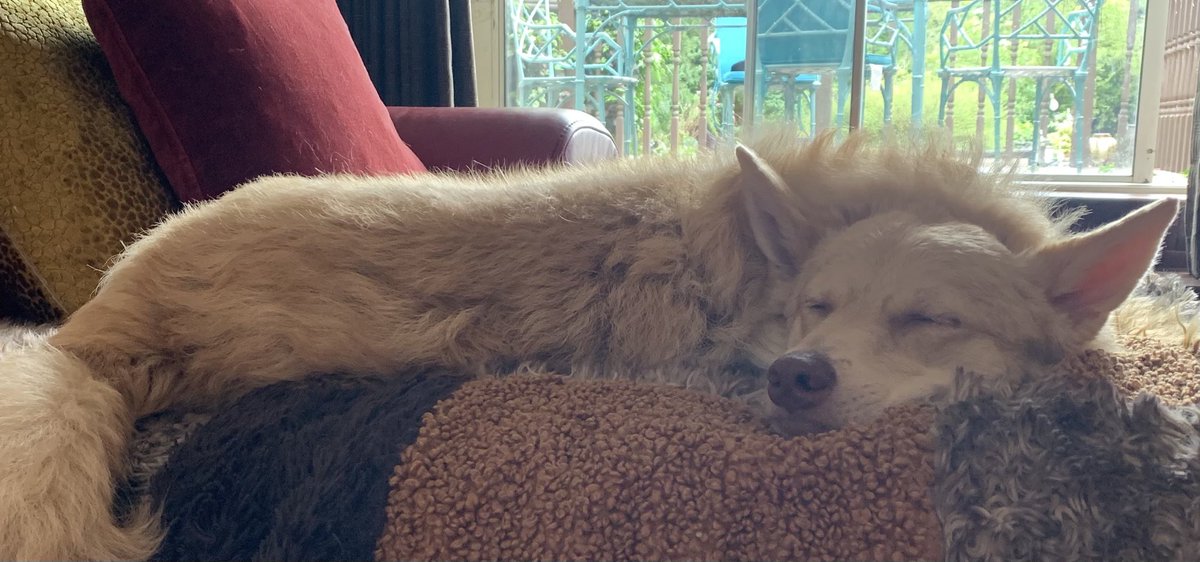 Craig Charles (@ccfunkandsoul) on Twitter photo 