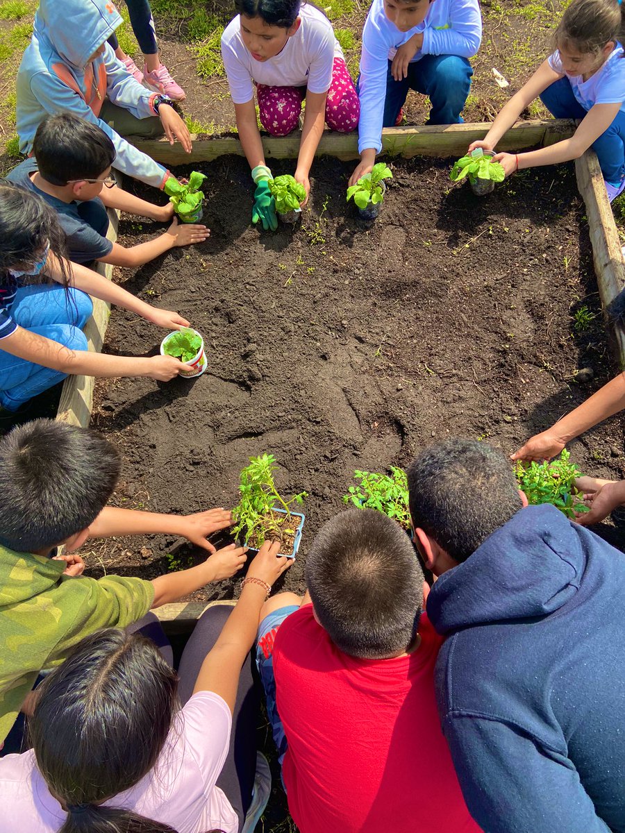 Maria Liotta, M.Ed tweet media