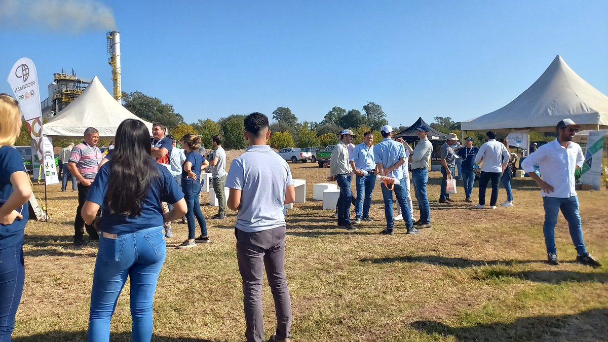 prodemanok's tweet photo. Abrimos el campo para conversar sobre las herramientas disponibles que incrementan la rentabilidad de los sist de cultivos de la zona 🌱.
#maní #peanuts #campo #campoargentino #prodeman https://t.co/YoMWCe6GVO
