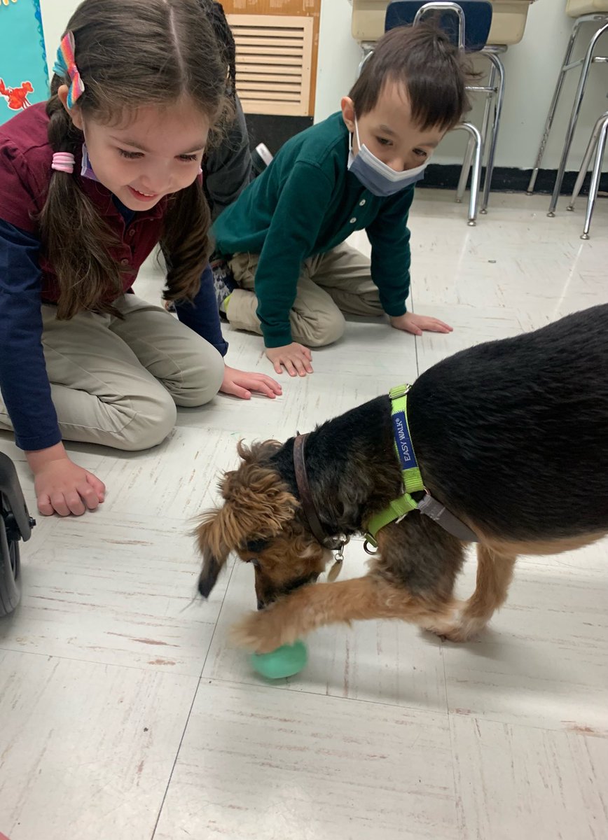 They read the sentences excellently and I became an “egg-cellent” egg cracker! I guess you know what was inside!🦴