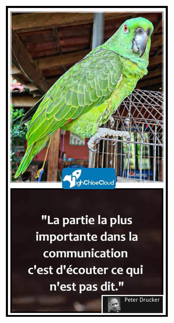 HighChloeCloud's tweet photo. Oui osez agissez et rêvez car c’est ainsi que nous progressons ! Rien n’est impossible #Inspiring #Mcwomaccelerator22 #highchloecloud @Vendoris @HighChloeCloud @Karen_DEMAISON @benoit_huver @Ym78200 @MadiSeydi https://t.co/R5HPq7Dzya