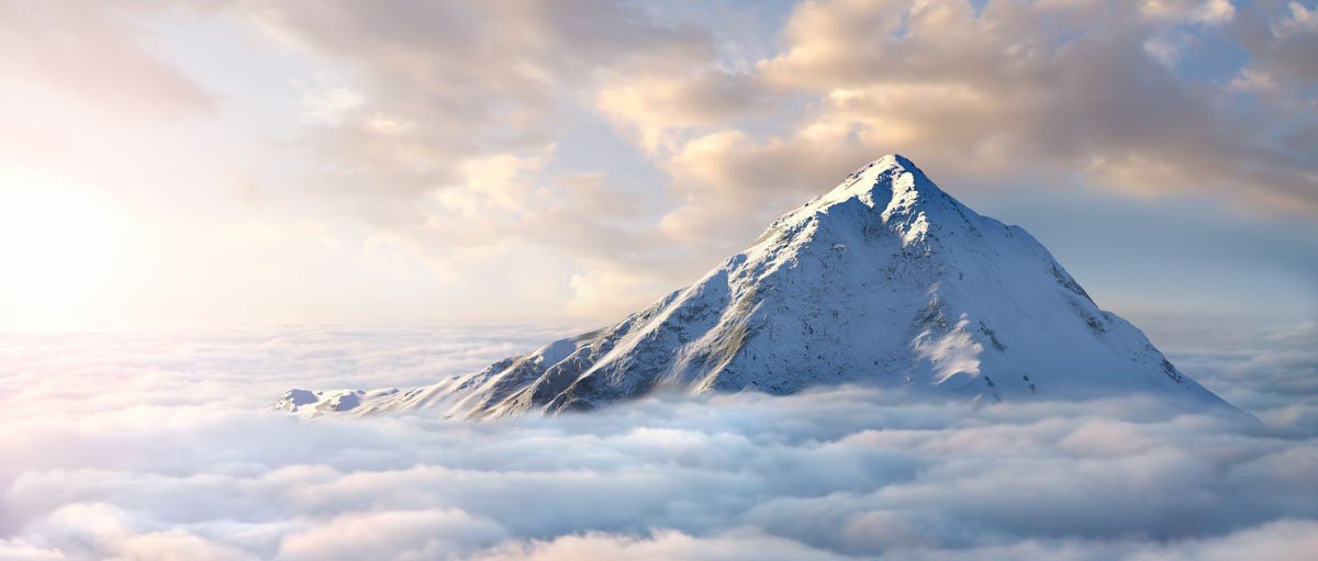 Scott Simmons tweet media