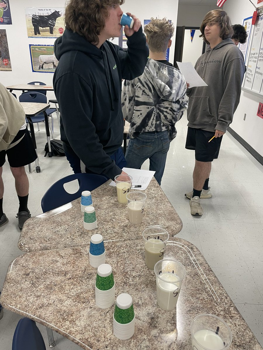 MRobsAg's tweet photo. Dairy day! Is it from a cow, goat, or artificial?? #learnbydoing #lcagscience  #premier https://t.co/cCtoCUFfGV