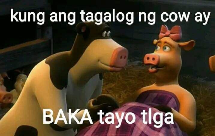 bbiskies's tweet photo. @ashiceline GANDA MOOOOOOOO https://t.co/oZhgbbiqza
