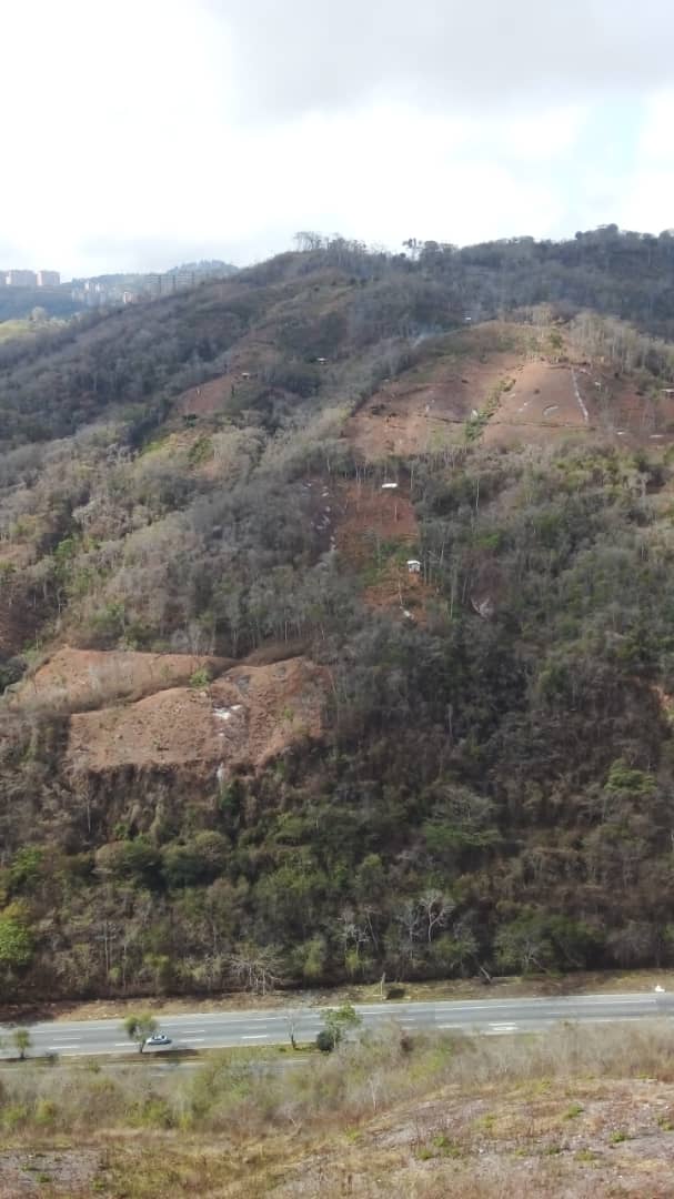 JulioCNieto's tweet photo. Lo que antes era un refugio para la fauna y flora, hoy está siendo destruida por invasores, alegando cultivos, ¿hasta cuándo la desidia en proteger el ambiente de Caracas?
@ParqueCaiza 
@TarekWiliamSaab 
#ecocidioenparquecaiza
@minec_oficial 
@MP_venezolano 
@AlertaMiravila https://t.co/71X22WDOSV