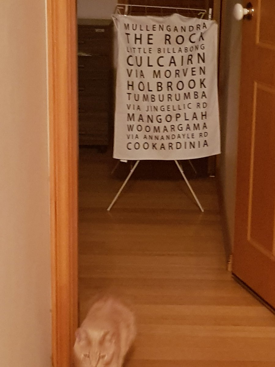 Alert Alert! We have vacuuming after normal bedtime so things not normal at all tonight! Millipede &amp; bugs on the carpet to be dealt with. Where did they come from?? T-towel in background (room where vacuumer gets charged) has all the places Mum came from (S NSW)

#CatsOfTwitter